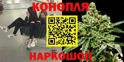 винт Донецк